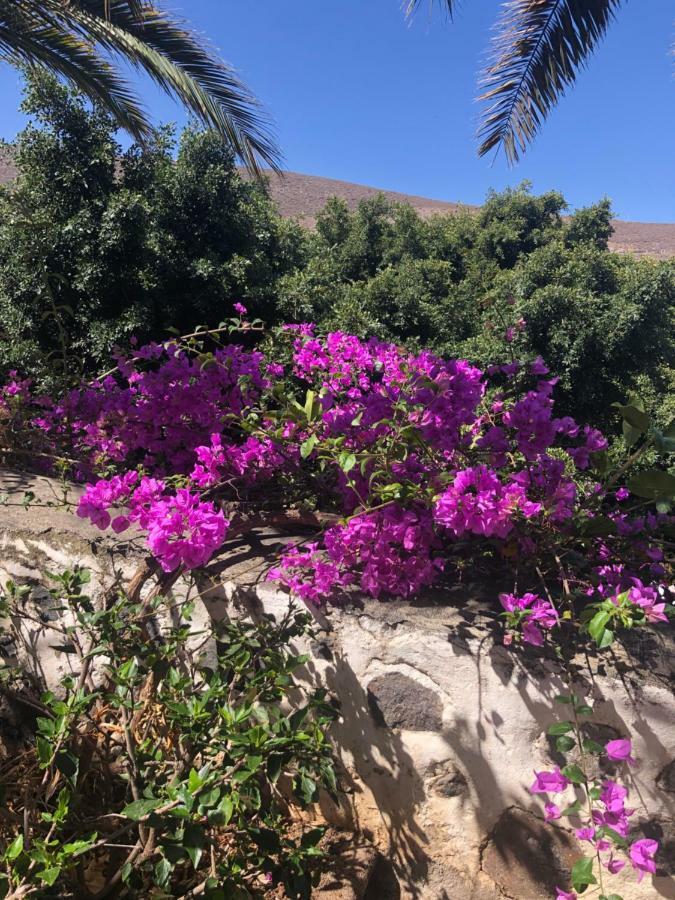 Los Tunos Campo Internacional Villa Maspalomas  Eksteriør bilde